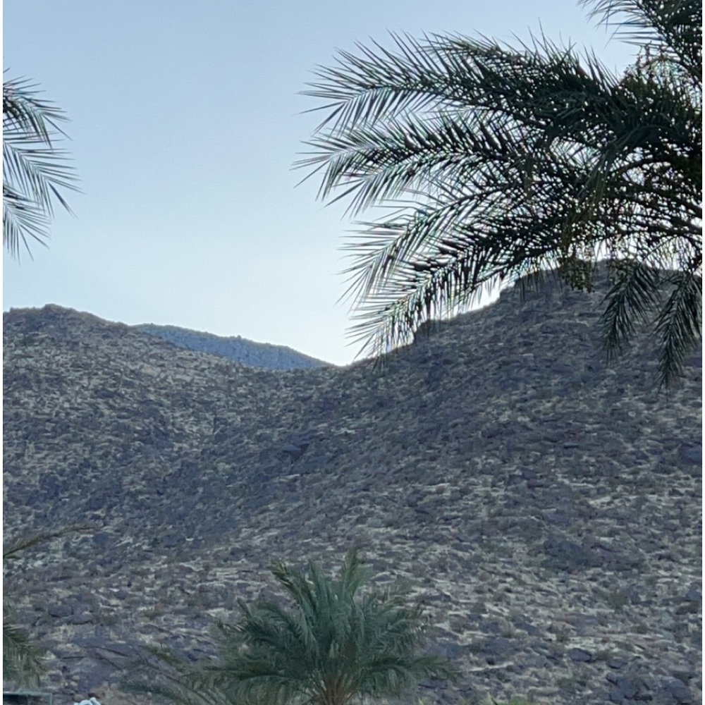 Meet your Posher, Ella